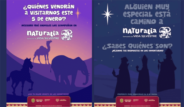 ¿Llegará un elefante al parque Naturalia de Xalapa por Día de Reyes Magos?