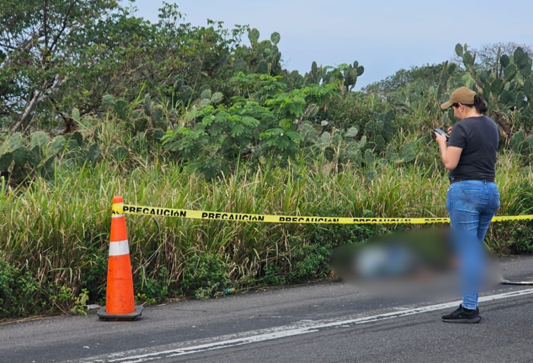 Vehículo atropella y mata a hombre en carretera a Tecolutla, Veracruz