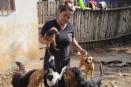 Un perrito no es un juguete, recuerda asociación a los veracruzanos