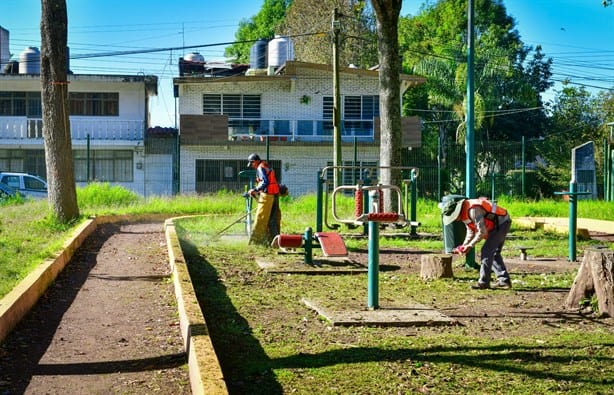 En Xalapa,  primera Jornada Comunitaria 2025