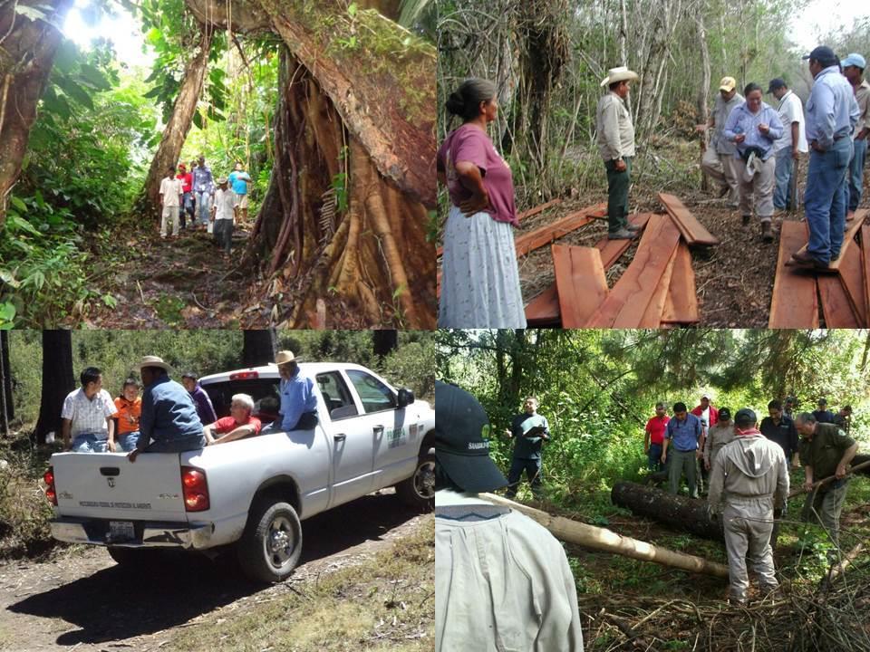 COMITÉS DE VIGILANCIA AMBIENTAL PARTICIPATIVA