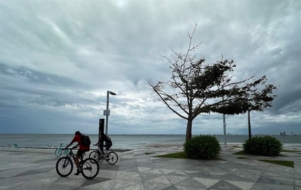 Alertan sobre rachas de viento de 90km/h del próximo norte en Veracruz