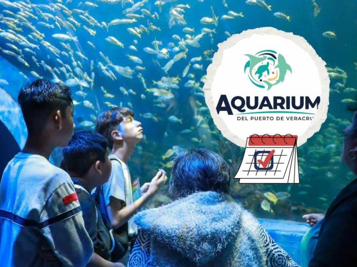 ¿Cuándo es el primer Martes Gratis del Aquarium de Veracruz este 2025?