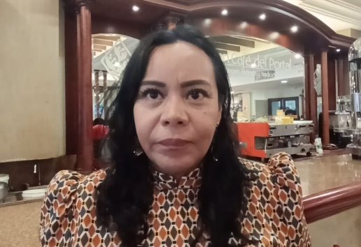 Violencia intrafamiliar afectó a más de 300 mujeres en Veracruz durante 2024