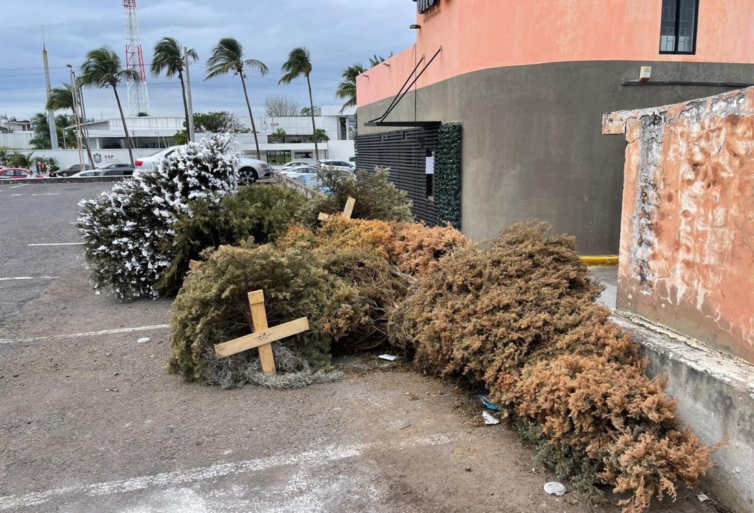 Boca del Río puso en marcha campaña "Recicla tu Navidad"; conoce dónde dejar el árbol navideño