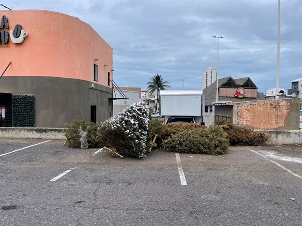 Boca del Río puso en marcha campaña "Recicla tu Navidad"; conoce dónde dejar el árbol navideño