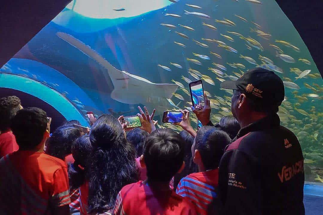 Regresan los Martes Gratis al Aquarium del Puerto de Veracruz