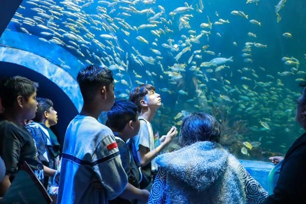 Regresan los Martes Gratis al Aquarium del Puerto de Veracruz