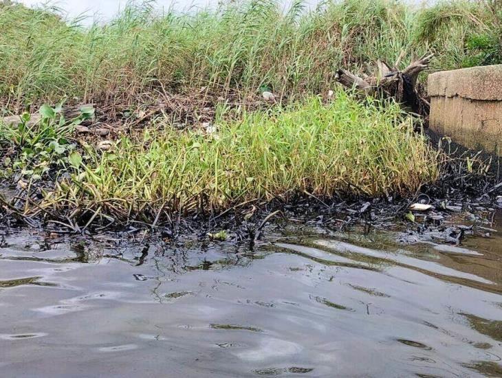 Manchas de hidrocarburo siguen apareciendo en el río Coatzacoalcos; biólogo advierte daño a flora y fauna