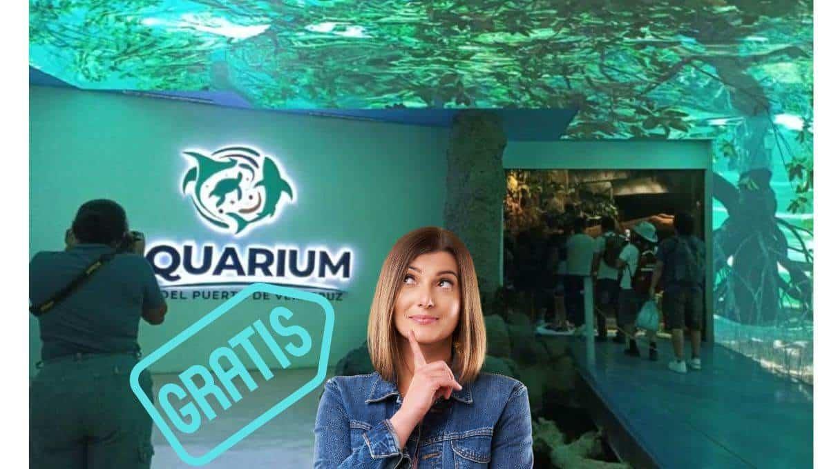 Aquarium de Veracruz: Regresa el martes gratis ¿cómo aplicar?