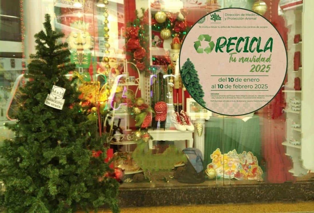 Recicla tu árbol de Navidad en Veracruz | Fechas y centros de acopio