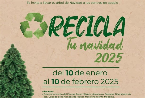 Recicla tu árbol de Navidad en Veracruz | Fechas y centros de acopio