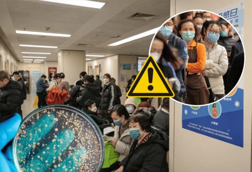 Virus HMPV: ¿podría causar una pandemia como el Covid 19?, esto dice la OMS