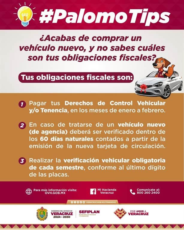 ¿Compraste un vehículo nuevo? Estas son las obligaciones fiscales que deberás cubrir en Veracruz