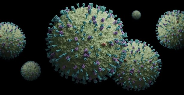 ¿Qué es el metapneumovirus y cómo detectarlo?