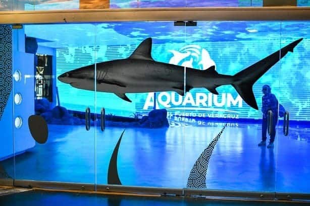 Cómo llegar de Plaza Américas al Aquarium de Veracruz en camión | Precios