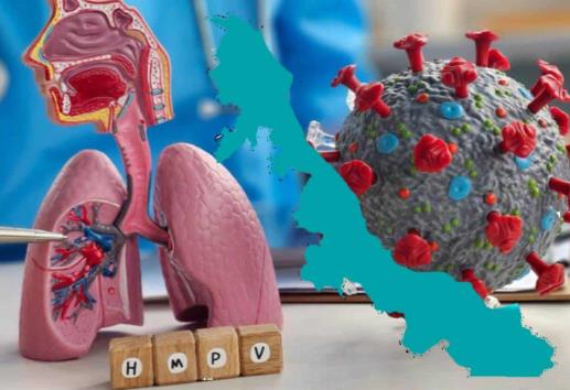 Autoridades piden calma ante brote de metapneumovirus humano en Veracruz