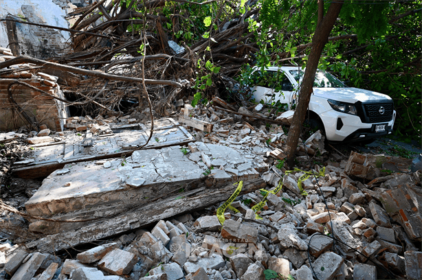 Fuerte norte derriba árbol en avenida 20 de Noviembre de Veracruz: tres autos dañados