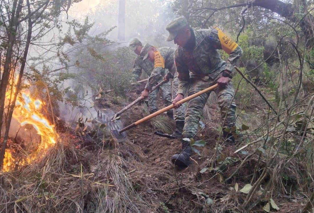 Ejército Mexicano aplica el Plan DN-III-E en incendio forestal en Ejido Villa de Perote, Veracruz