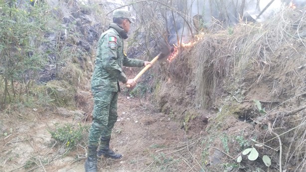 Aplican Plan DN-III-E por incendio forestal en Ejido Villa de Perote