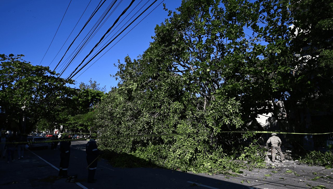 Fuerte norte derriba árbol en avenida 20 de Noviembre de Veracruz: tres autos dañados