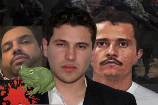 Así surgió apodo de Cártel de los Sapitos a alianza de los Chapitos-CJNG