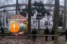 Sombrío sábado: Hallan a persona sin vida en la Glorieta de los Xalapeño Ilustres