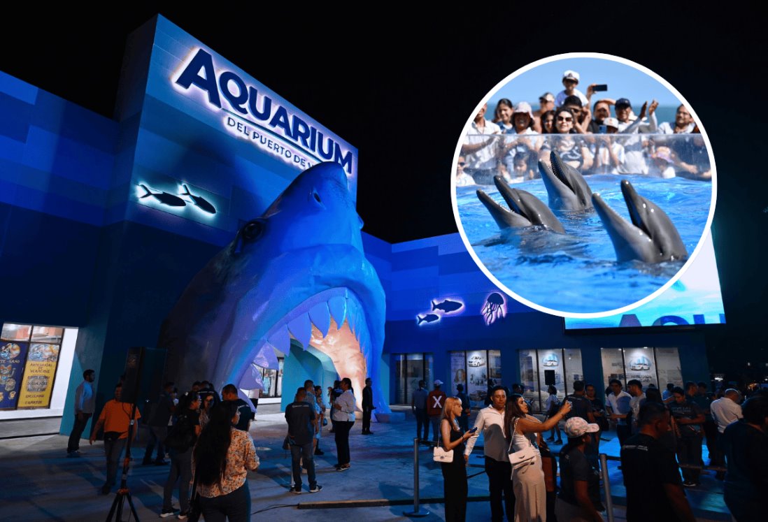 Aquarium de Veracruz: ¿Se debe pagar extra por el show de delfines? Esto debes saber