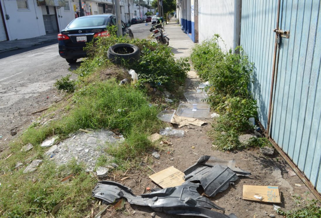 Denuncian acumulación de basura y maleza en la calle Collado de Veracruz