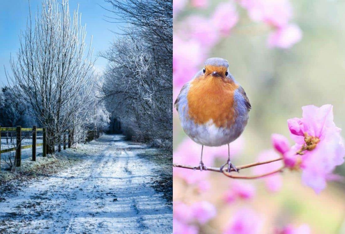 En esta fecha termina el frío en México, según la Conagua ¿Cuándo inicia la primavera?