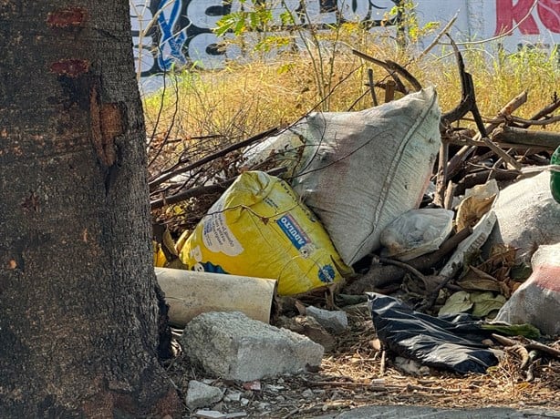 Alertan por terrenos baldíos convertidos en basurero en colonias de Veracruz