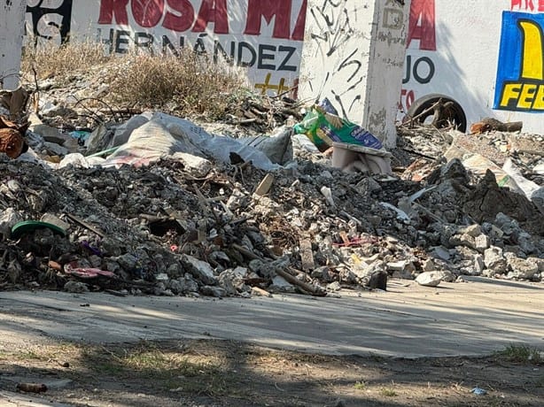 Alertan por terrenos baldíos convertidos en basurero en colonias de Veracruz