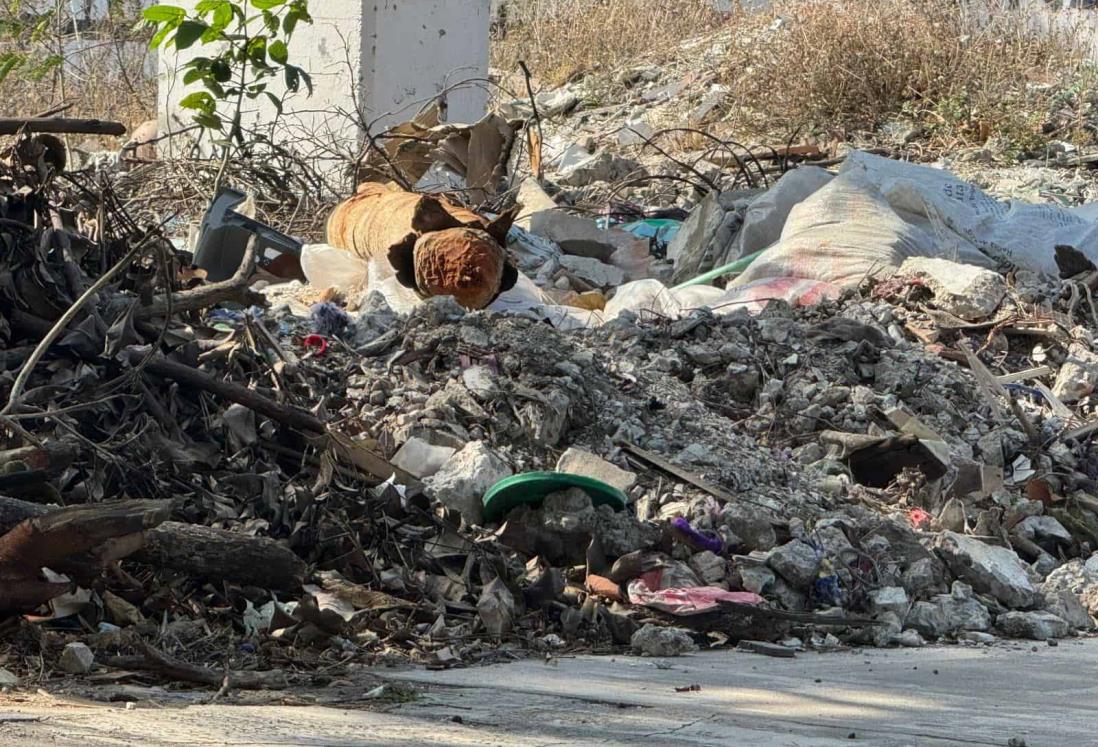 Alertan por terrenos baldíos convertidos en basurero en colonias de Veracruz