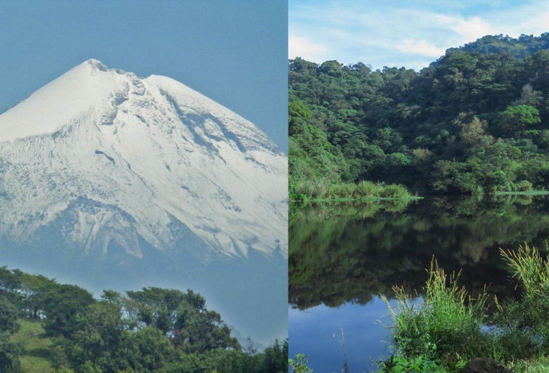 3 parques nacionales que todos deberían visitar en Veracruz ¿Qué se puede hacer? | VIDEOS