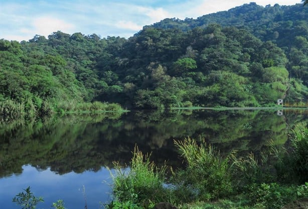 3 parques nacionales que todos deberían visitar en Veracruz ¿Qué se puede hacer? | VIDEOS