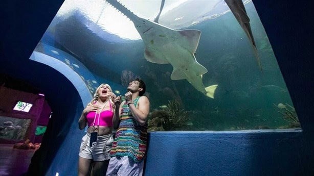 Aquarium de Veracruz: ¿Quiénes han sido los famosos que han visitado el recinto?