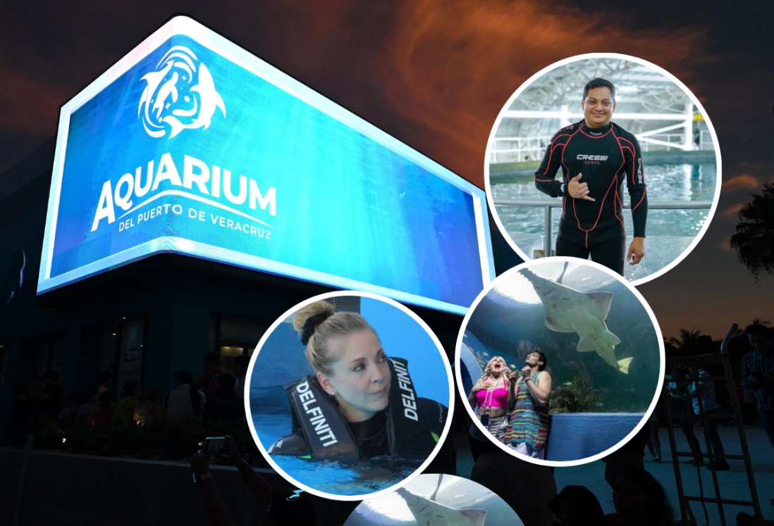 Aquarium de Veracruz: ¿Quiénes han sido los famosos que han visitado el recinto?