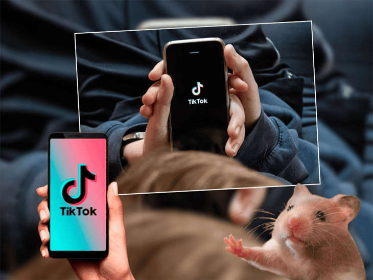 TikTok: ¿Cómo descargar tus videos antes de que pueda desaparecer?