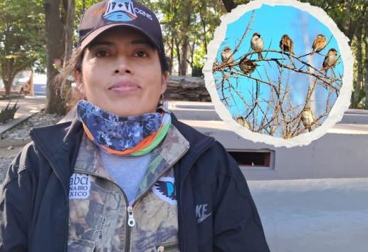 Conteo de aves urbanas en Orizaba, un fomento a valorar la fauna local