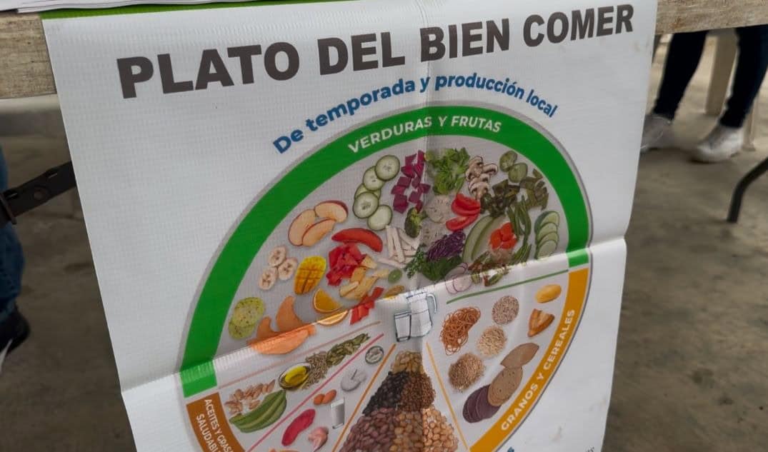 Cuidado con dietas extremas para perder peso