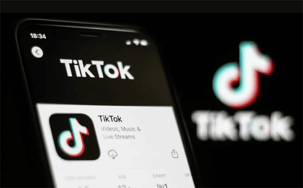 TikTok: ¿Cómo descargar tus videos antes de que pueda desaparecer?