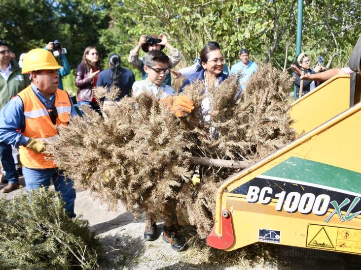 ¿Ya llevaste a reciclar tu arbolito de Navidad? tienes hasta el 28 de febrero