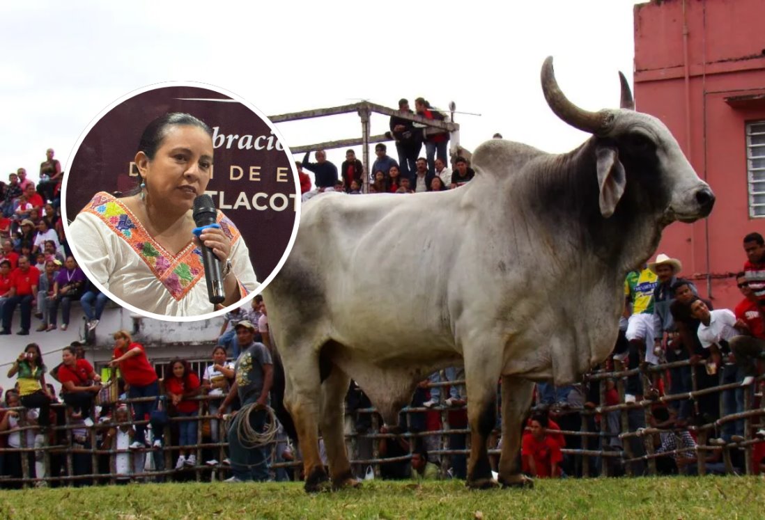 Habrá multas por maltratar a los toros durante las Fiestas de la Candelaria en Tlacotalpan