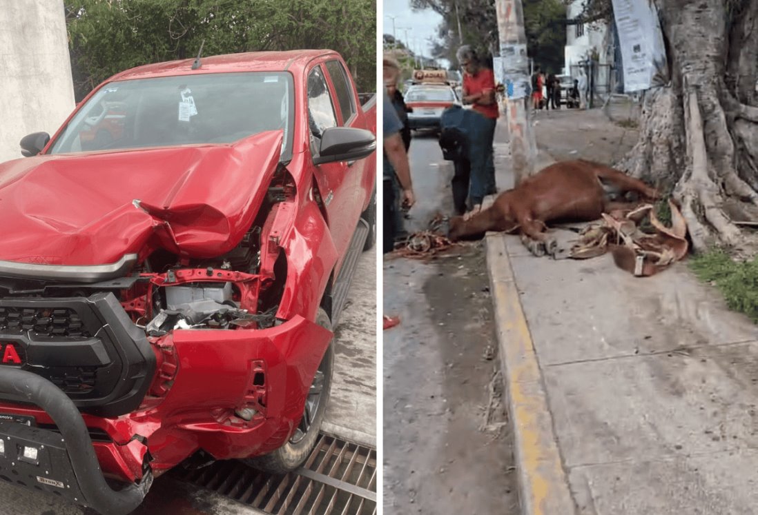 Camioneta arrolla a jinete en Veracruz; el caballo perdió la vida