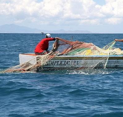 Pescadores de Veracruz se mantienen pendientes de grandes arribos de peces