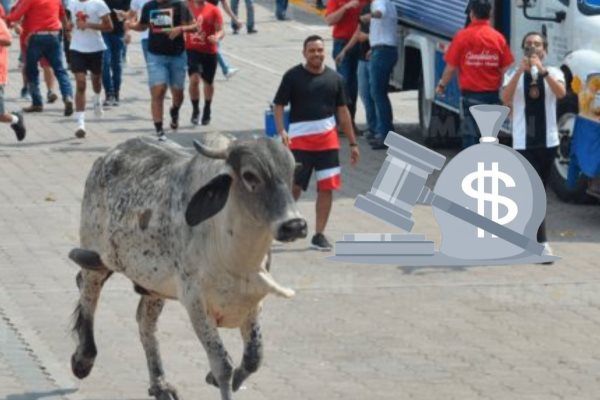 Fiestas de la Candelaria 2025: esta es la multa por maltratar a los toros