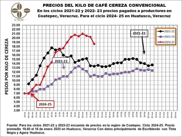 Veracruz enfrenta desplome en el precio del café cereza;  reviven temores de 2022