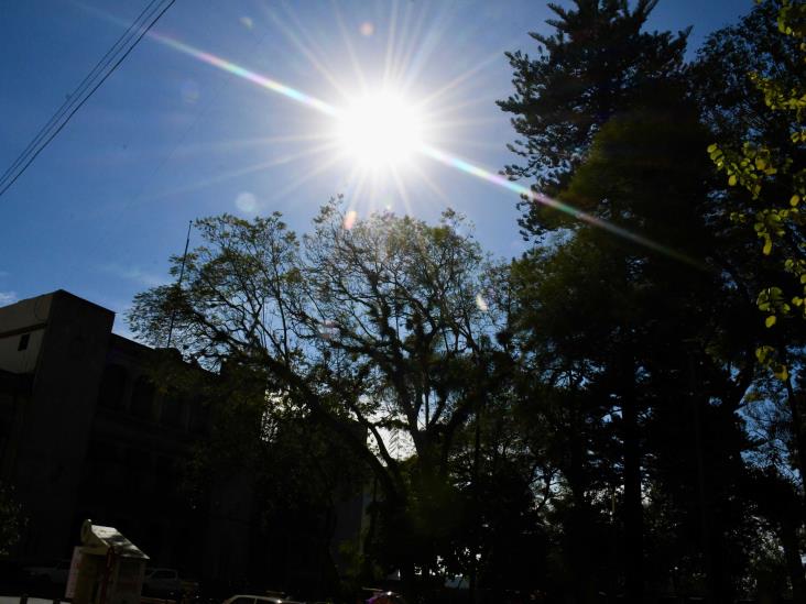 Primera ola de calor en México: estos serán los estados afectados