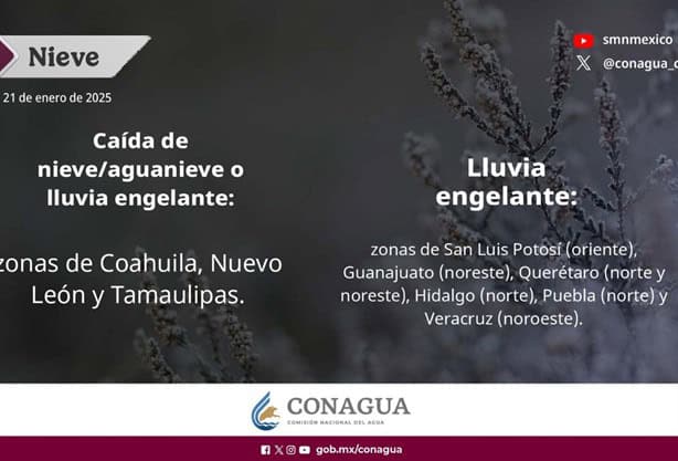 Lluvia engelante y cencellada para estas zonas de Veracruz ¿Cuál es la diferencia?