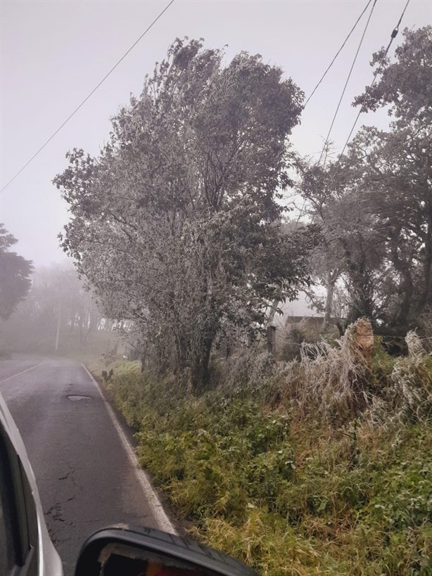 Heladas impactan Chiconquiaco: llovizna engelante cubre la región montañosa